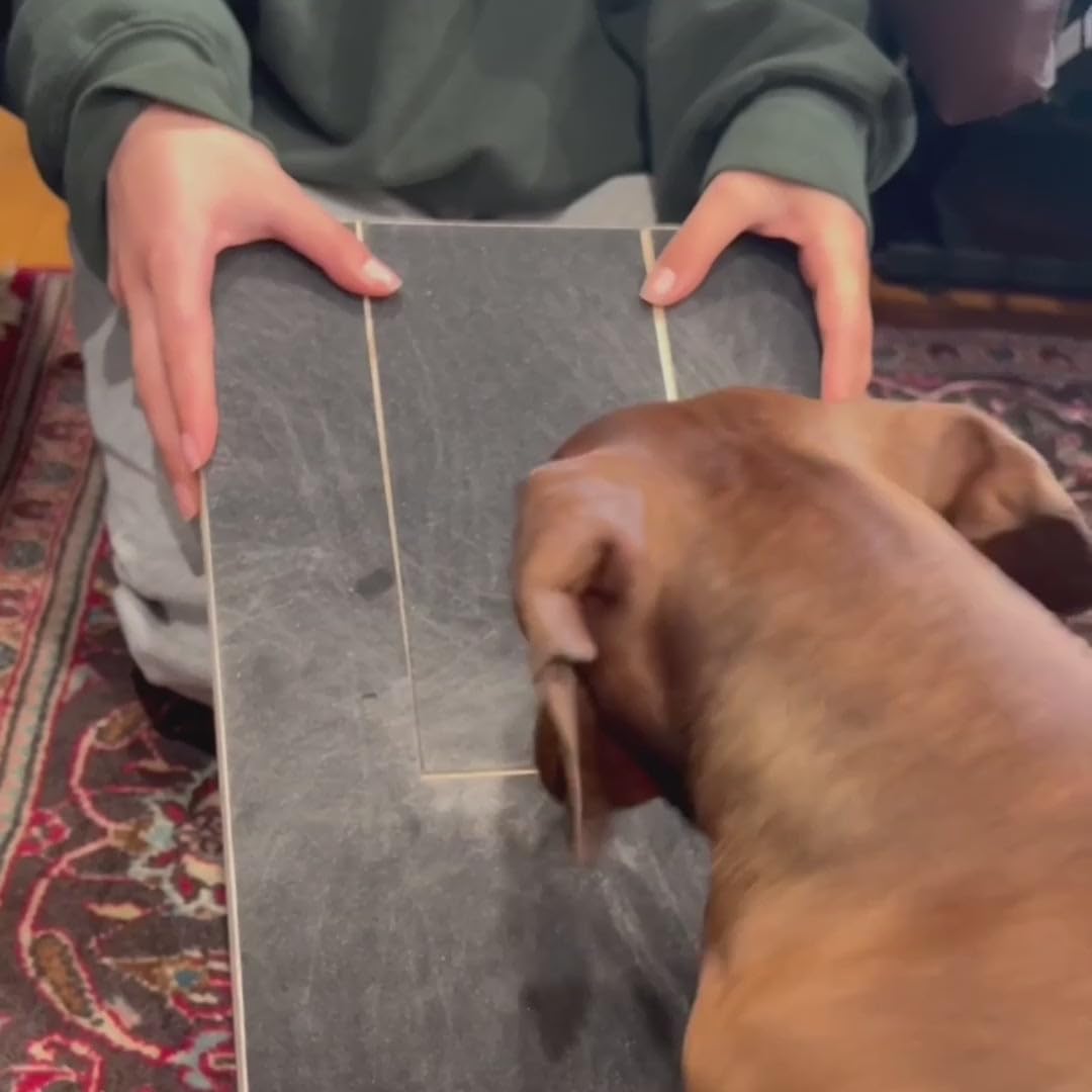 Dog Nail Scratch Board with Treat Box
