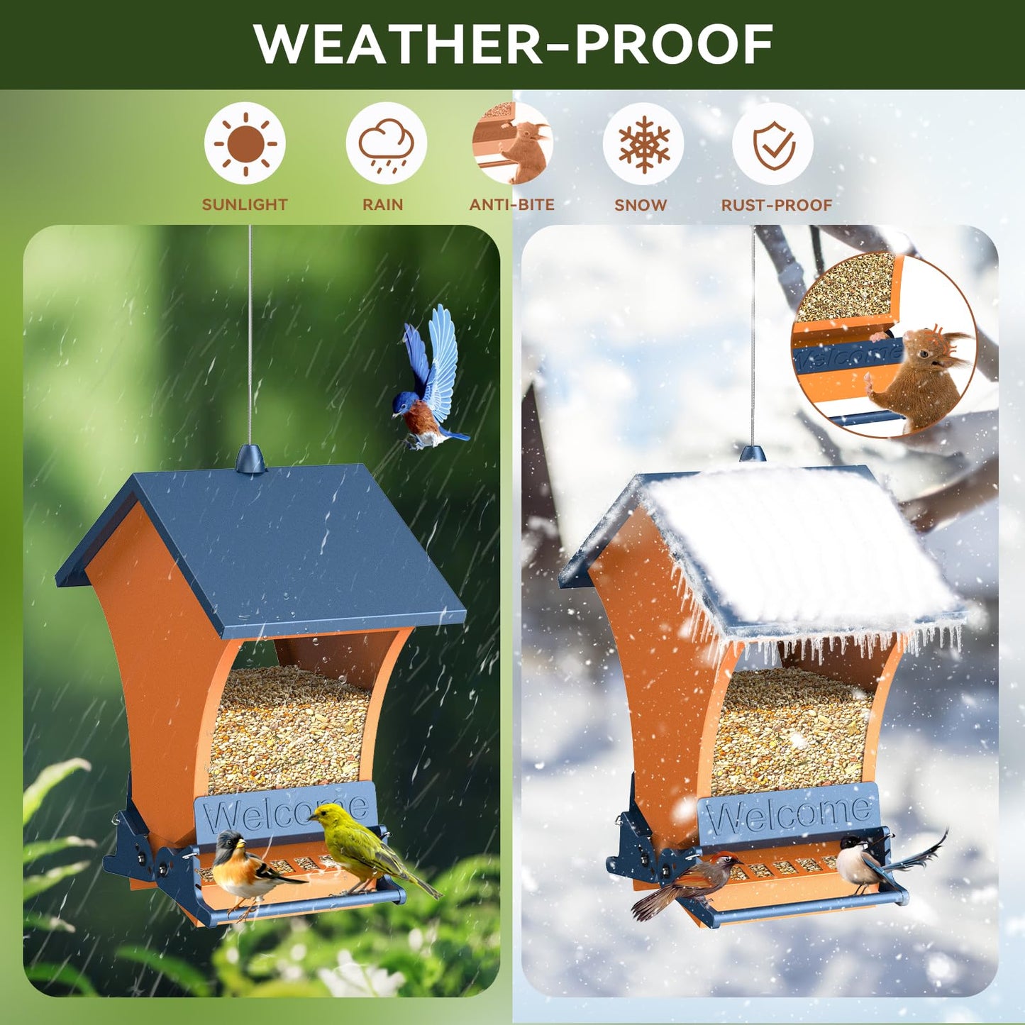 Smart Squirrel Resistant Bird Feeder