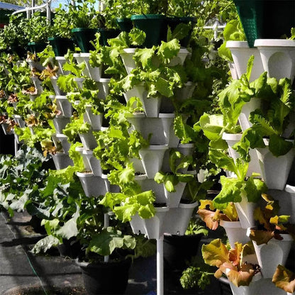 Stackable Vertical Growing System, Large Garden Planter for Strawberries & Herbs, Heavy Duty Design