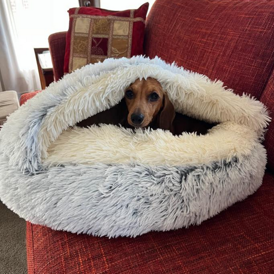 🐾 The SNUGGLES Cove - The Ultimate 2-in-1 Pet Bed!