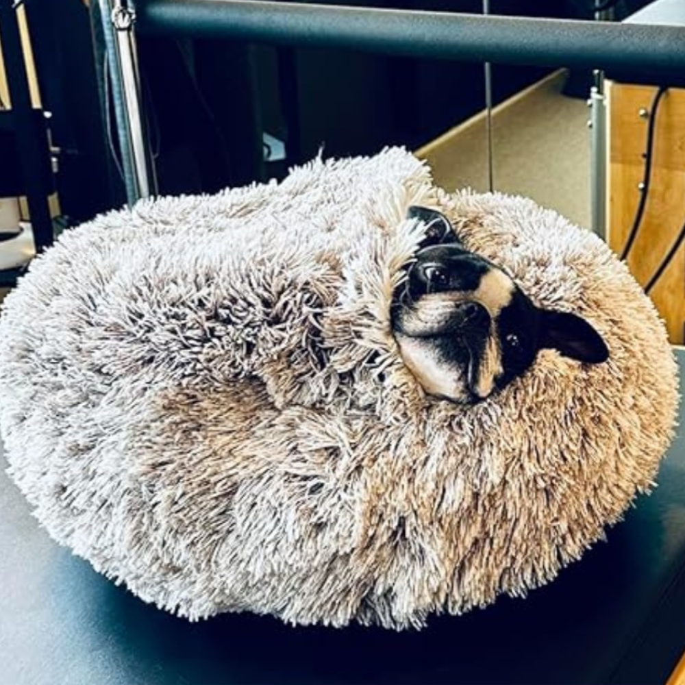 🐾 The SNUGGLES Cove - The Ultimate 2-in-1 Pet Bed!