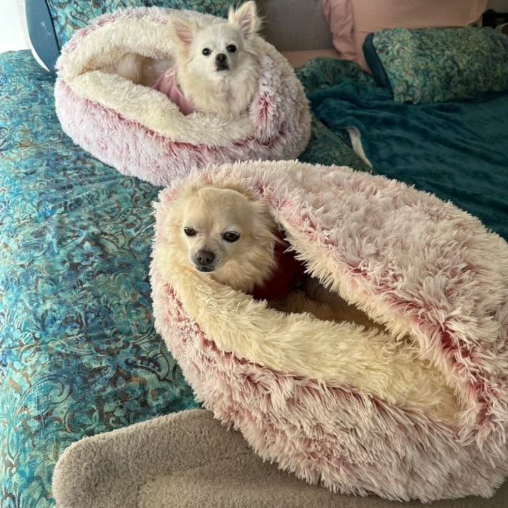 🐾 The SNUGGLES Cove - The Ultimate 2-in-1 Pet Bed!