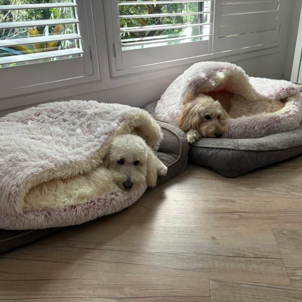 🐾 The SNUGGLES Cove - The Ultimate 2-in-1 Pet Bed!