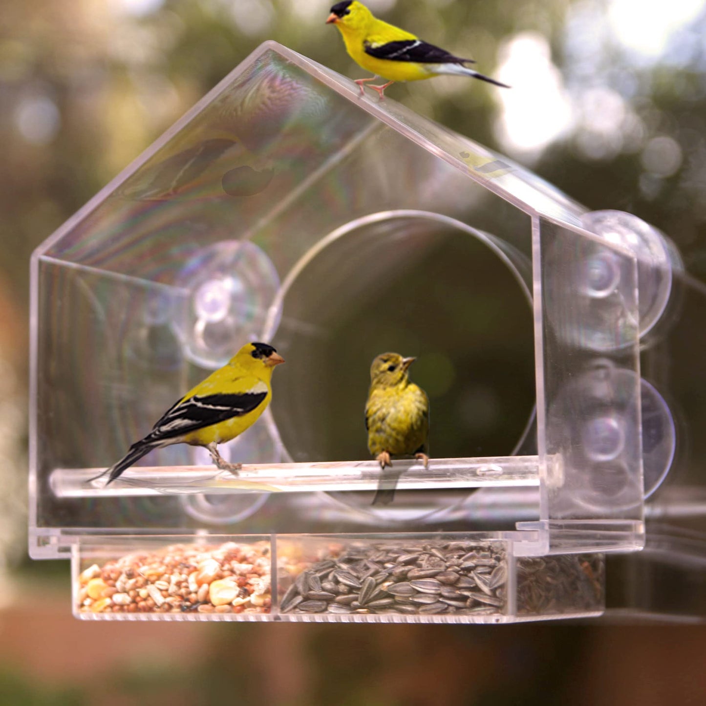 Transparent Acrylic Window Bird Feeder, Weatherproof Suction Cup Birdhouse for Outdoor Bird Watching, Easy to Clean