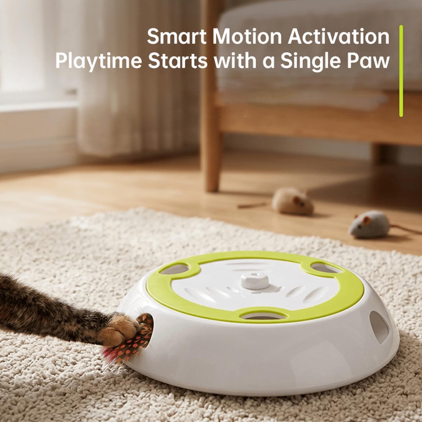 Interactive Whack-a-Mole Cat Toy, Auto Feather Mouse with Motion Sensor
