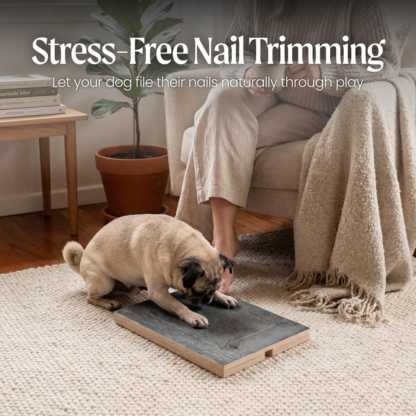 Dog Nail Scratch Board with Treat Box