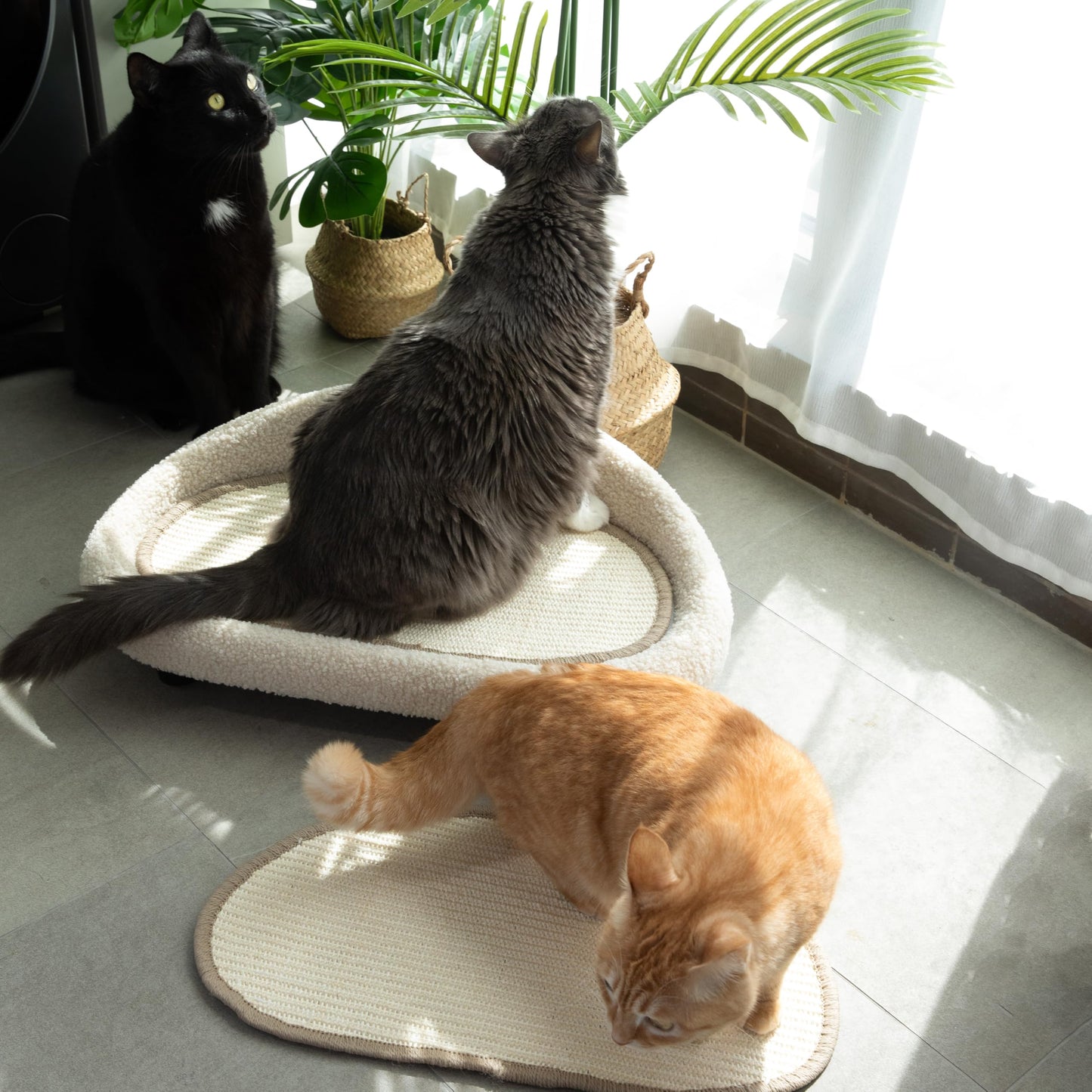 Cat Sisal Scratcher Bed with Refill Pad